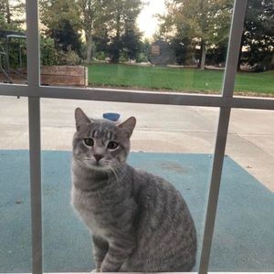 Meet your Posher, Amilla